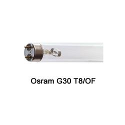 Osram G30 T8/OF